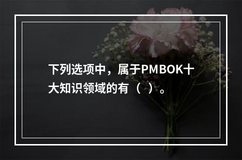 下列选项中，属于PMBOK十大知识领域的有（   ）。