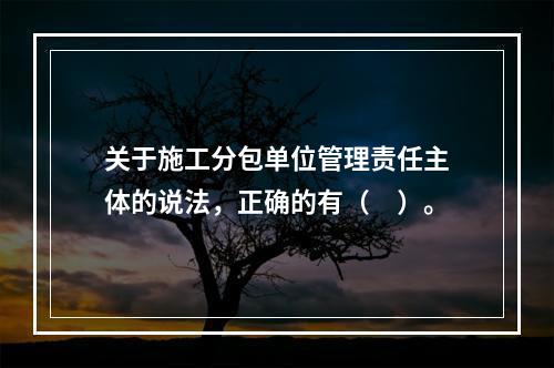 关于施工分包单位管理责任主体的说法，正确的有（　）。