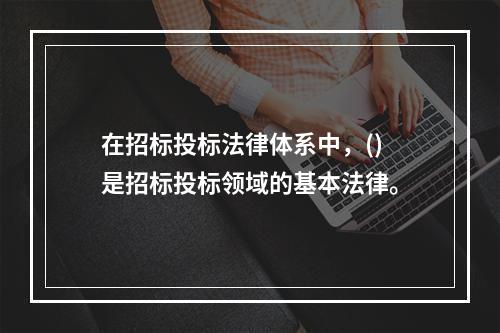 在招标投标法律体系中，()是招标投标领域的基本法律。