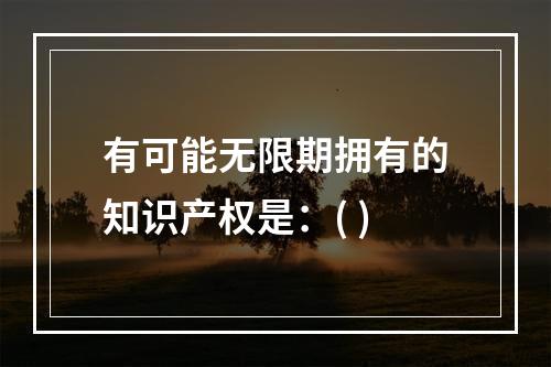 有可能无限期拥有的知识产权是：( )