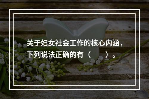 关于妇女社会工作的核心内涵，下列说法正确的有（　　）。