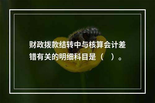 财政拨款结转中与核算会计差错有关的明细科目是（　）。