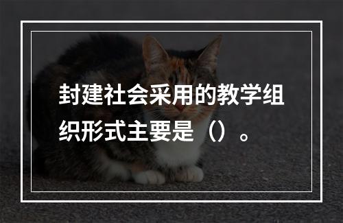 封建社会采用的教学组织形式主要是（）。