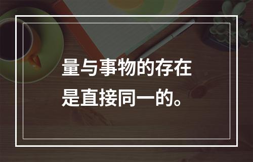 量与事物的存在是直接同一的。