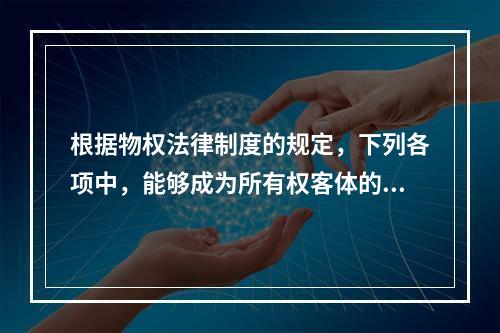 根据物权法律制度的规定，下列各项中，能够成为所有权客体的有(