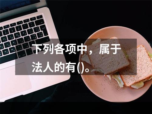 下列各项中，属于法人的有()。