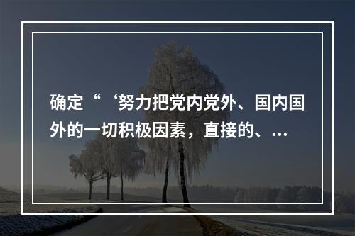 确定“‘努力把党内党外、国内国外的一切积极因素，直接的、间接