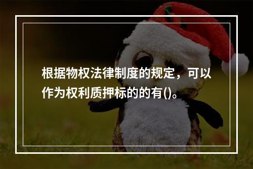 根据物权法律制度的规定，可以作为权利质押标的的有()。