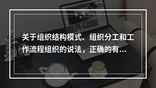 关于组织结构模式、组织分工和工作流程组织的说法，正确的有（　