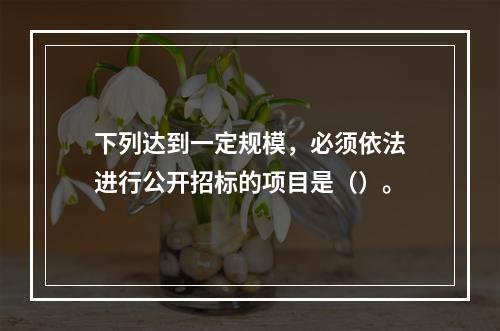 下列达到一定规模，必须依法进行公开招标的项目是（）。