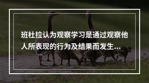 班杜拉认为观察学习是通过观察他人所表现的行为及结果而发生的（