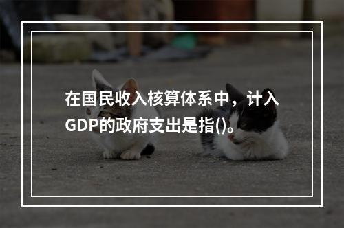 在国民收入核算体系中，计入GDP的政府支出是指()。