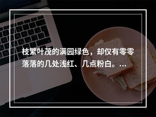 枝繁叶茂的满园绿色，却仅有零零落落的几处浅红、几点粉白。一丛