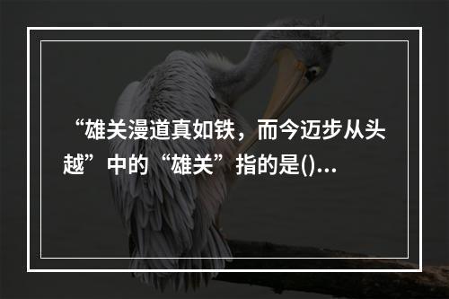 “雄关漫道真如铁，而今迈步从头越”中的“雄关”指的是()。