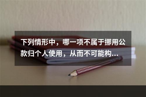 下列情形中，哪一项不属于挪用公款归个人使用，从而不可能构成挪