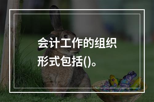 会计工作的组织形式包括()。