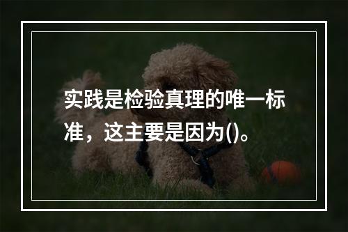 实践是检验真理的唯一标准，这主要是因为()。