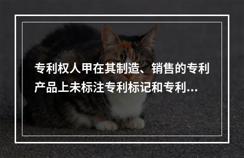 专利权人甲在其制造、销售的专利产品上未标注专利标记和专利号，