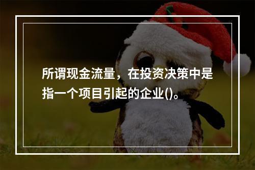 所谓现金流量，在投资决策中是指一个项目引起的企业()。