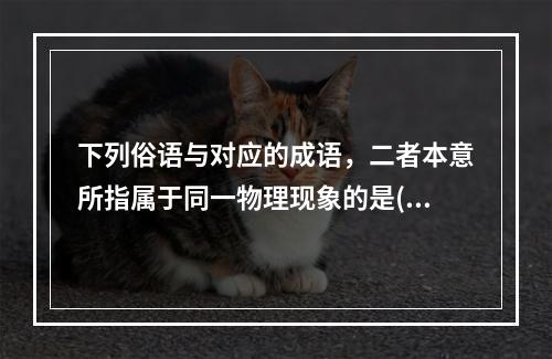 下列俗语与对应的成语，二者本意所指属于同一物理现象的是()。