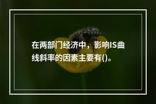 在两部门经济中，影响IS曲线斜率的因素主要有()。