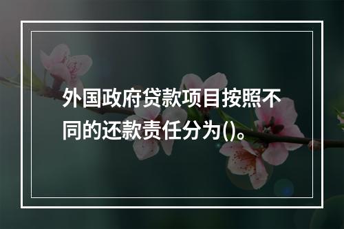 外国政府贷款项目按照不同的还款责任分为()。