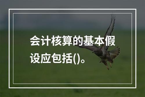 会计核算的基本假设应包括()。