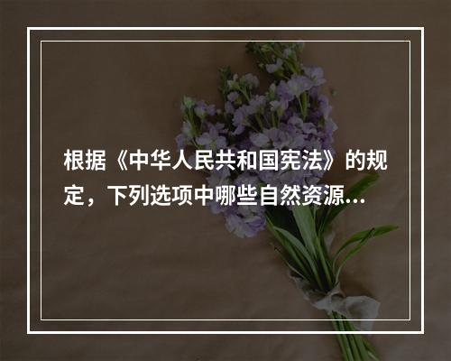 根据《中华人民共和国宪法》的规定，下列选项中哪些自然资源不能