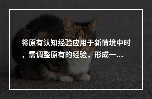 将原有认知经验应用于新情境中时，需调整原有的经验，形成一种更