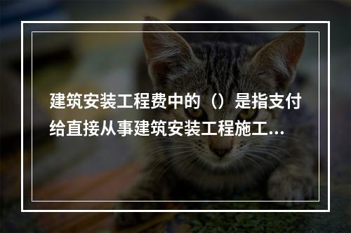 建筑安装工程费中的（）是指支付给直接从事建筑安装工程施工作业