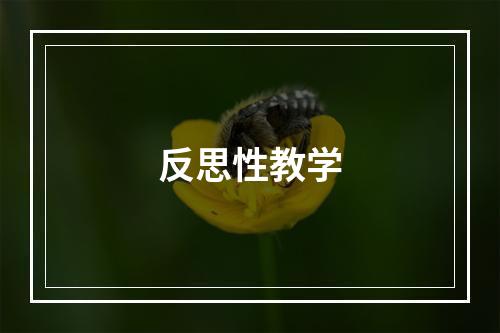 反思性教学