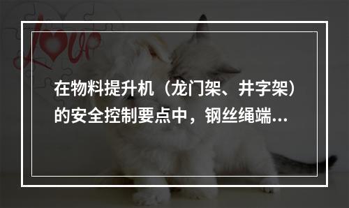 在物料提升机（龙门架、井字架）的安全控制要点中，钢丝绳端部的