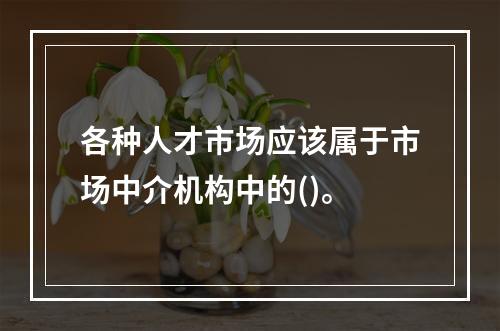 各种人才市场应该属于市场中介机构中的()。