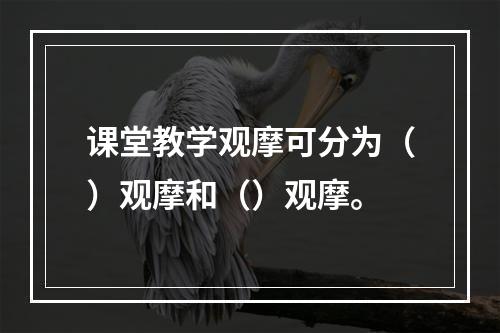 课堂教学观摩可分为（）观摩和（）观摩。