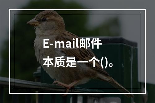 E-mail邮件本质是一个()。