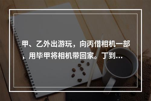 甲、乙外出游玩，向丙借相机一部，用毕甲将相机带回家。丁到甲家