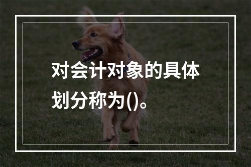 对会计对象的具体划分称为()。