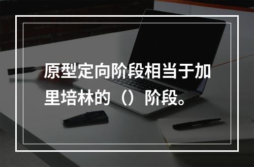 原型定向阶段相当于加里培林的（）阶段。