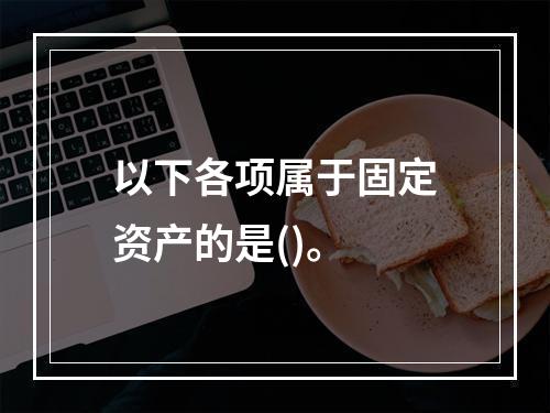 以下各项属于固定资产的是()。