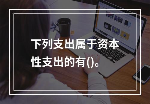 下列支出属于资本性支出的有()。