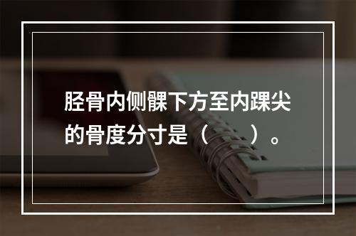 胫骨内侧髁下方至内踝尖的骨度分寸是（　　）。