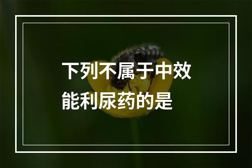 下列不属于中效能利尿药的是