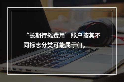 “长期待摊费用”账户按其不同标志分类可能属于( )。