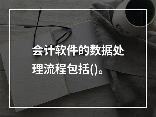 会计软件的数据处理流程包括()。