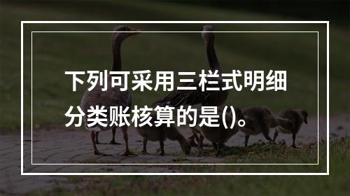 下列可采用三栏式明细分类账核算的是()。