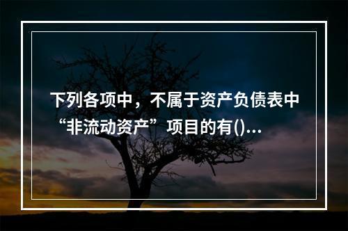 下列各项中，不属于资产负债表中“非流动资产”项目的有()。