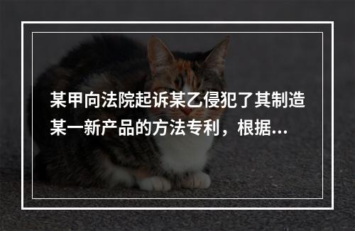 某甲向法院起诉某乙侵犯了其制造某一新产品的方法专利，根据法律