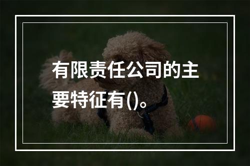 有限责任公司的主要特征有()。