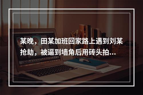 某晚，田某加班回家路上遇到刘某抢劫，被逼到墙角后用砖头拍在刘