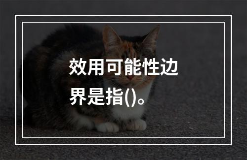 效用可能性边界是指()。